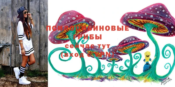 spice Богданович