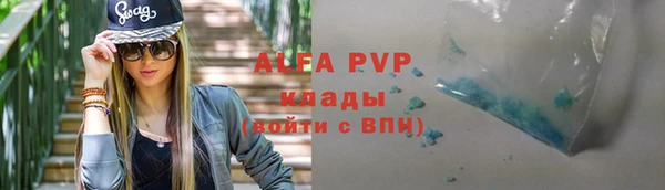 дмт Белокуриха