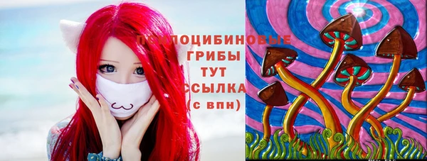 spice Богданович