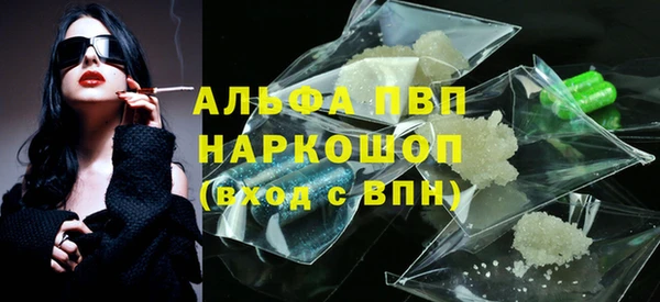 дмт Белокуриха