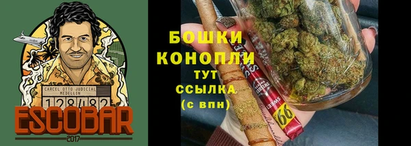 spice Богданович